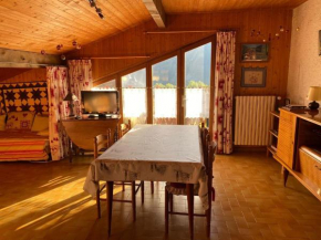 Chalet 2 pièces pour 5 pers. près des remontées, cuisine équipée, WIFI, parking, animaux admis - FR-1-676-176